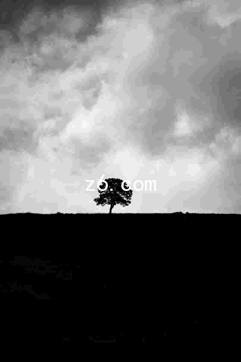 z6.com